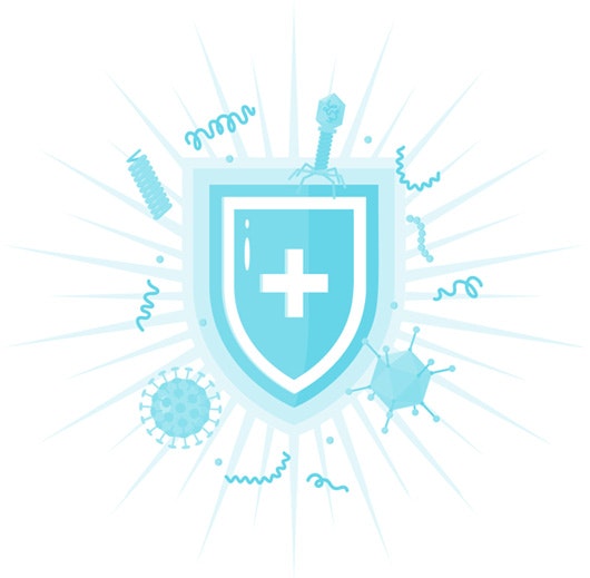 Immunity Shield Image